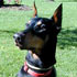 dobepic
